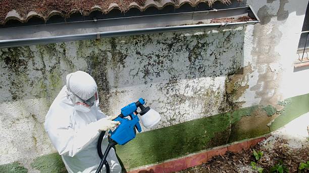 Top rated local Mold Remediation specialists in Glenside, PA